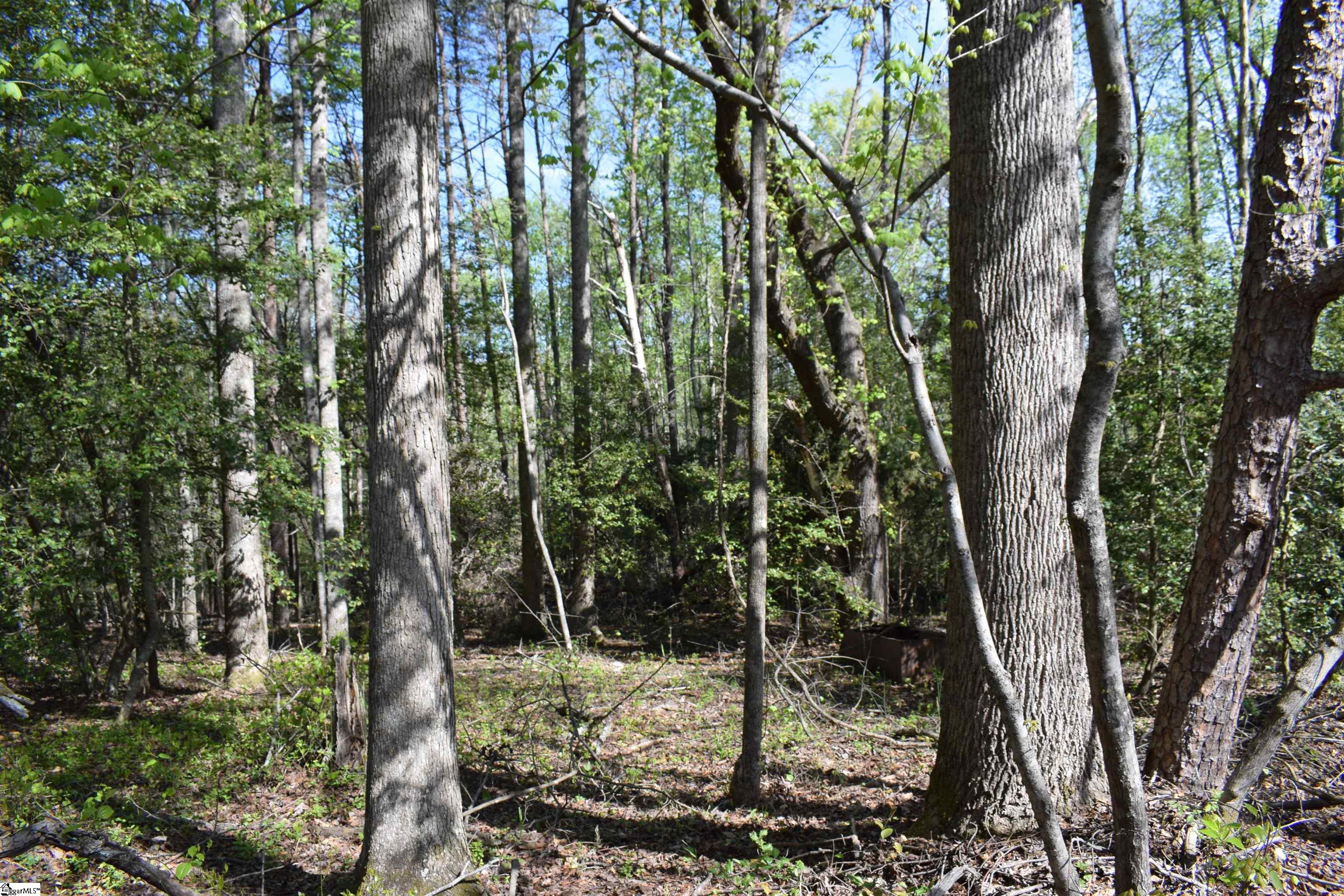 0 Hollis Road Ellenboro, NC 28040 - Photo 12 of 29