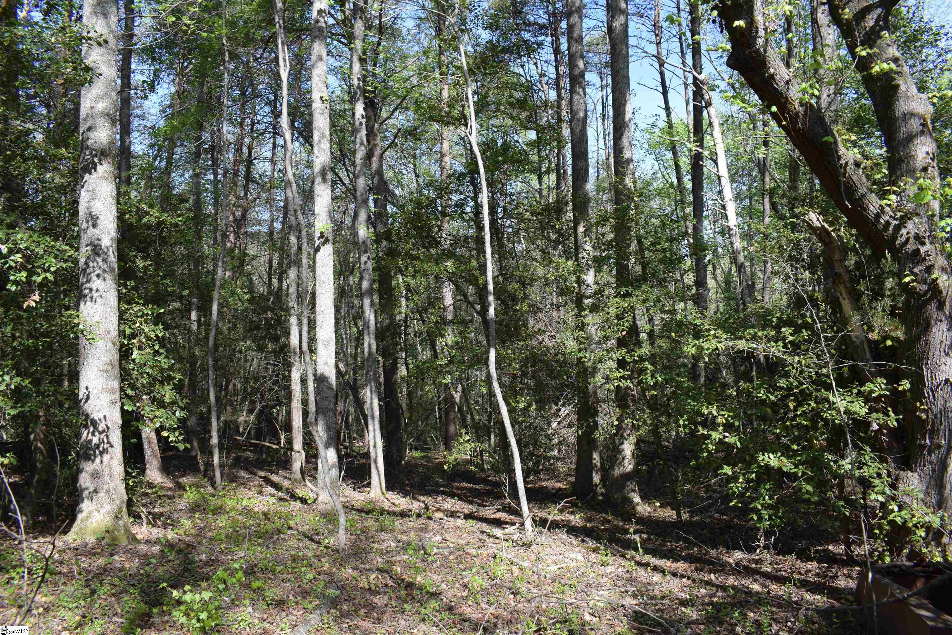 0 Hollis Road Ellenboro, NC 28040 - Photo 13 of 29