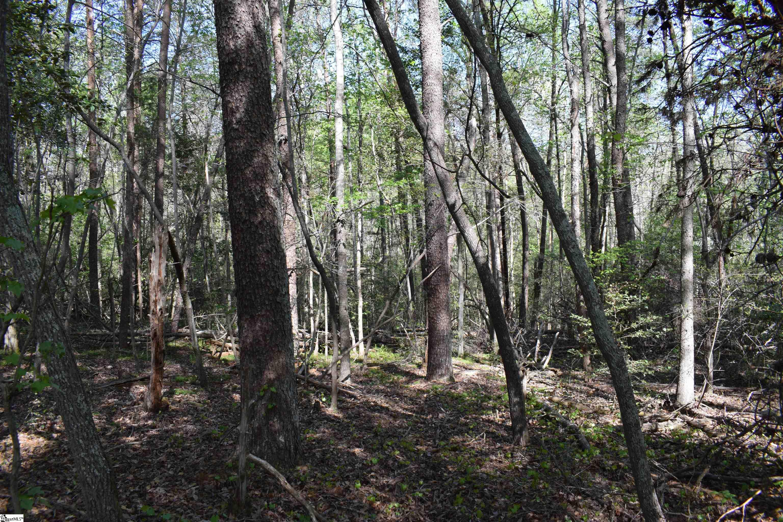 0 Hollis Road Ellenboro, NC 28040 - Photo 14 of 29