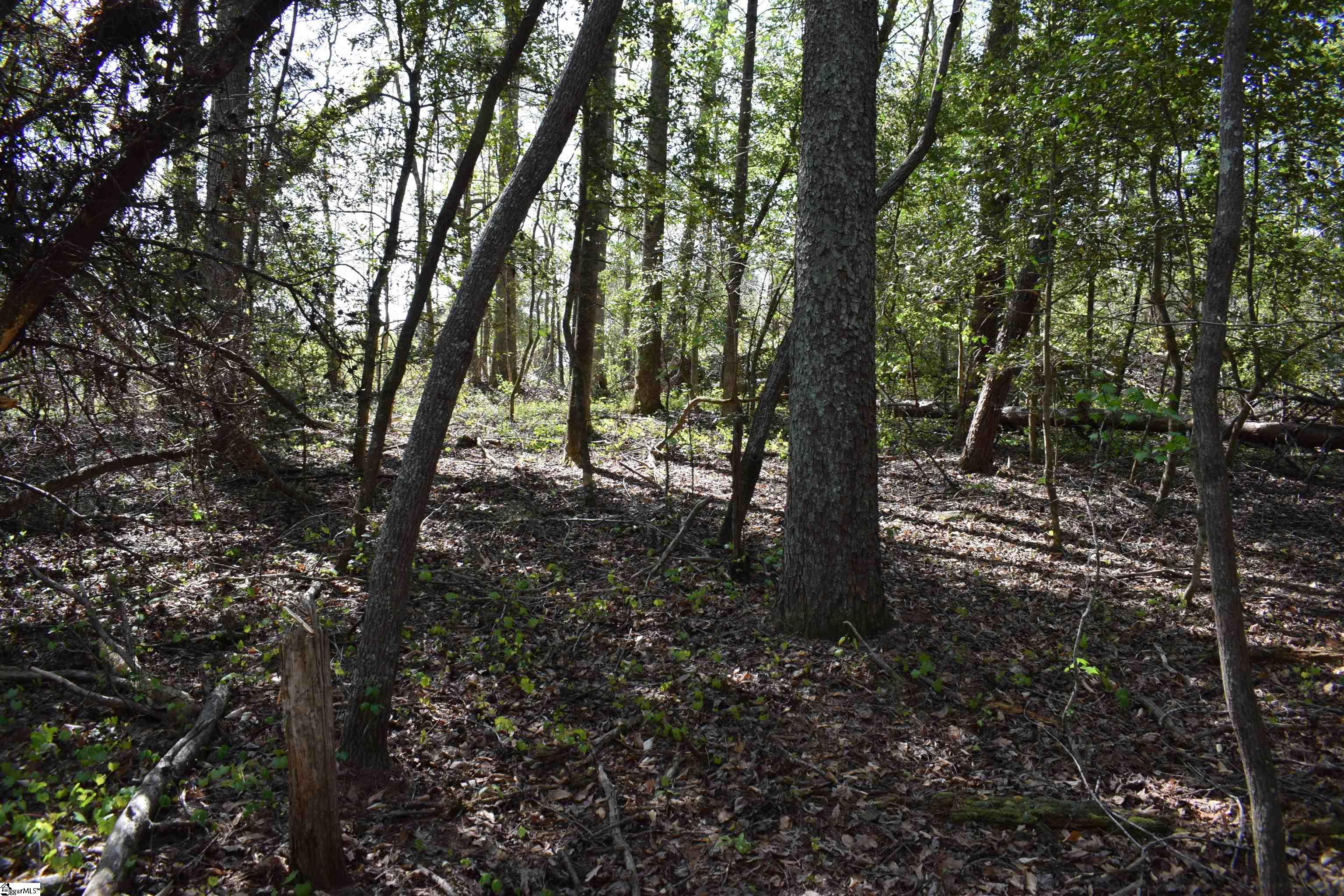 0 Hollis Road Ellenboro, NC 28040 - Photo 15 of 29