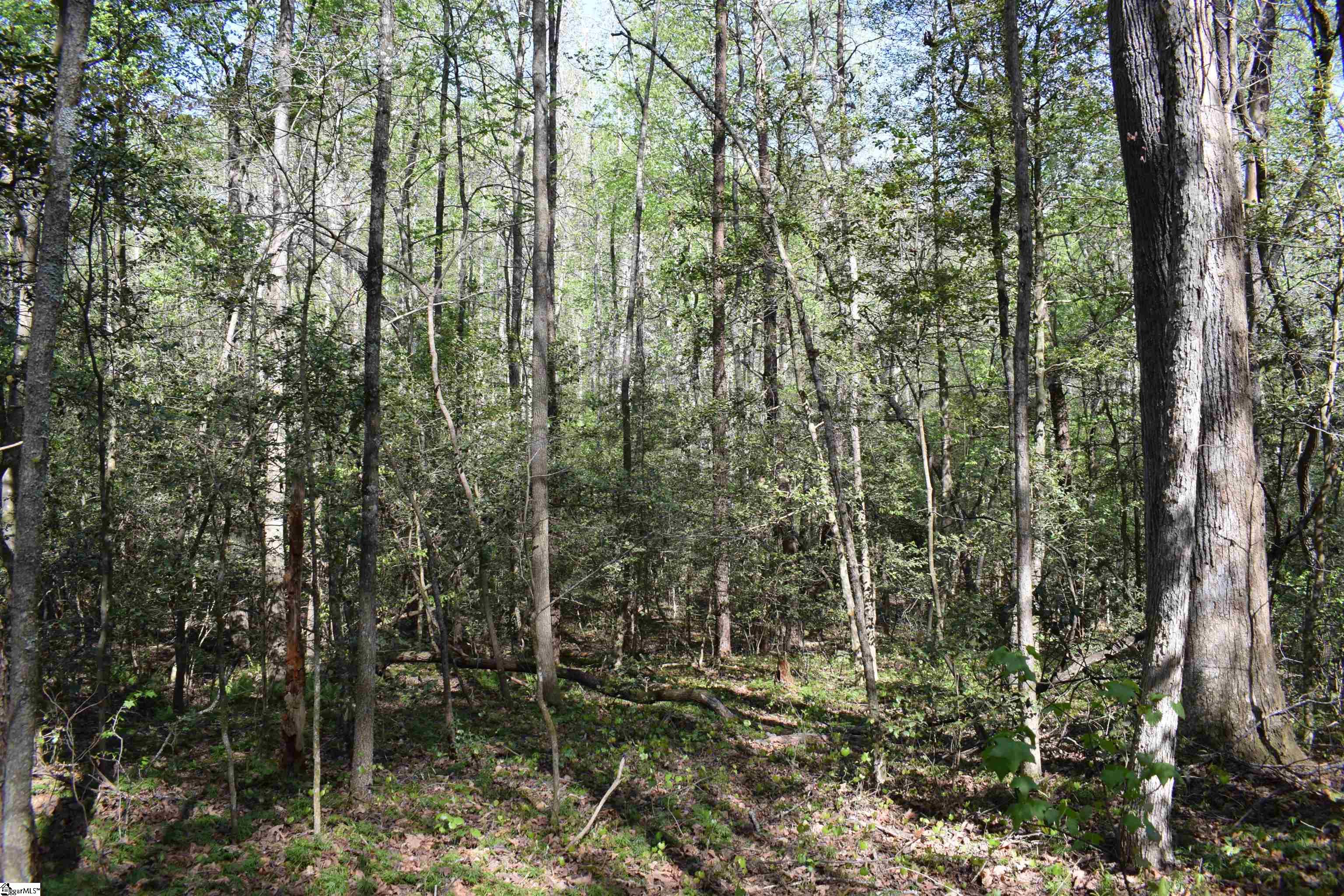 0 Hollis Road Ellenboro, NC 28040 - Photo 16 of 29