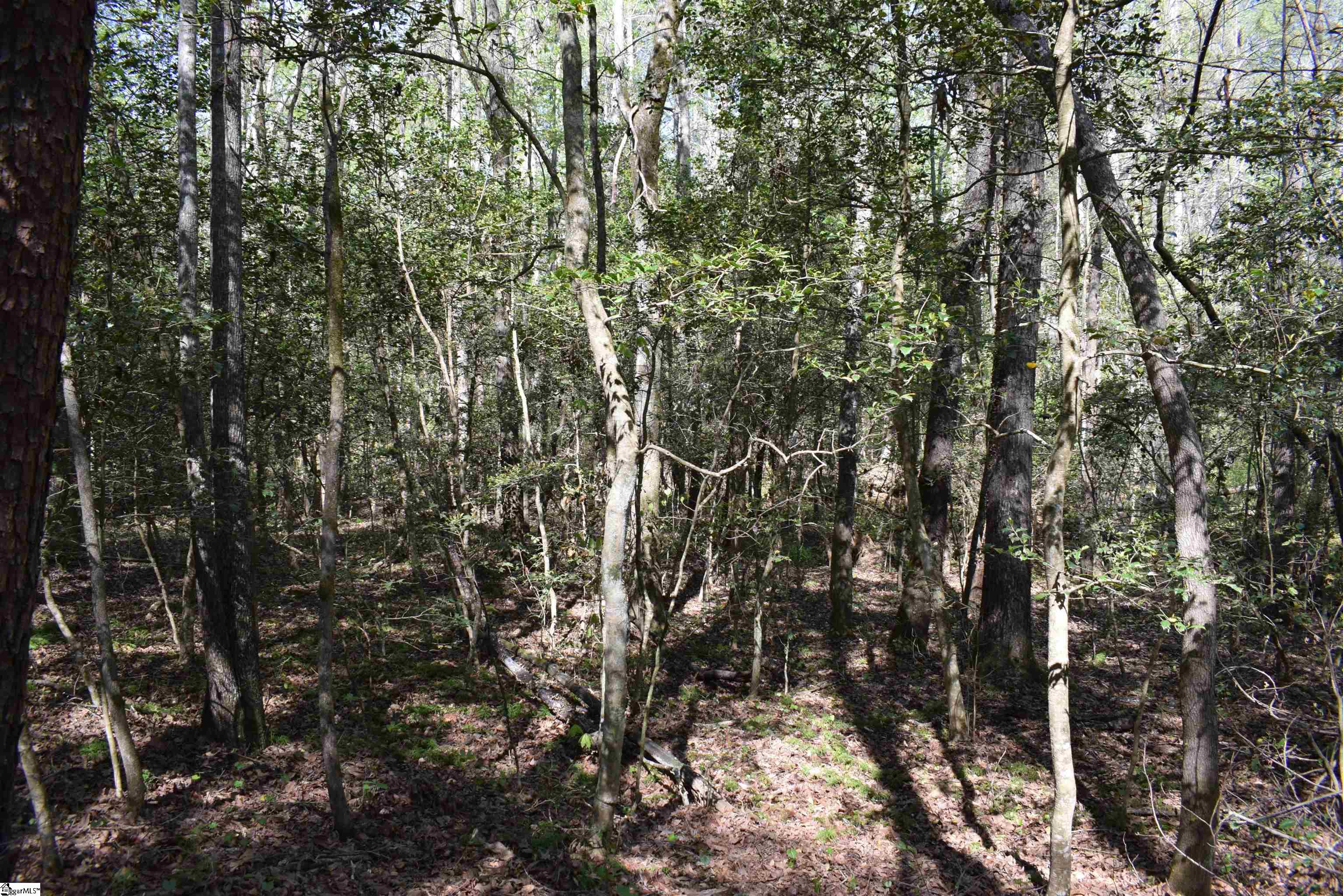 0 Hollis Road Ellenboro, NC 28040 - Photo 17 of 29