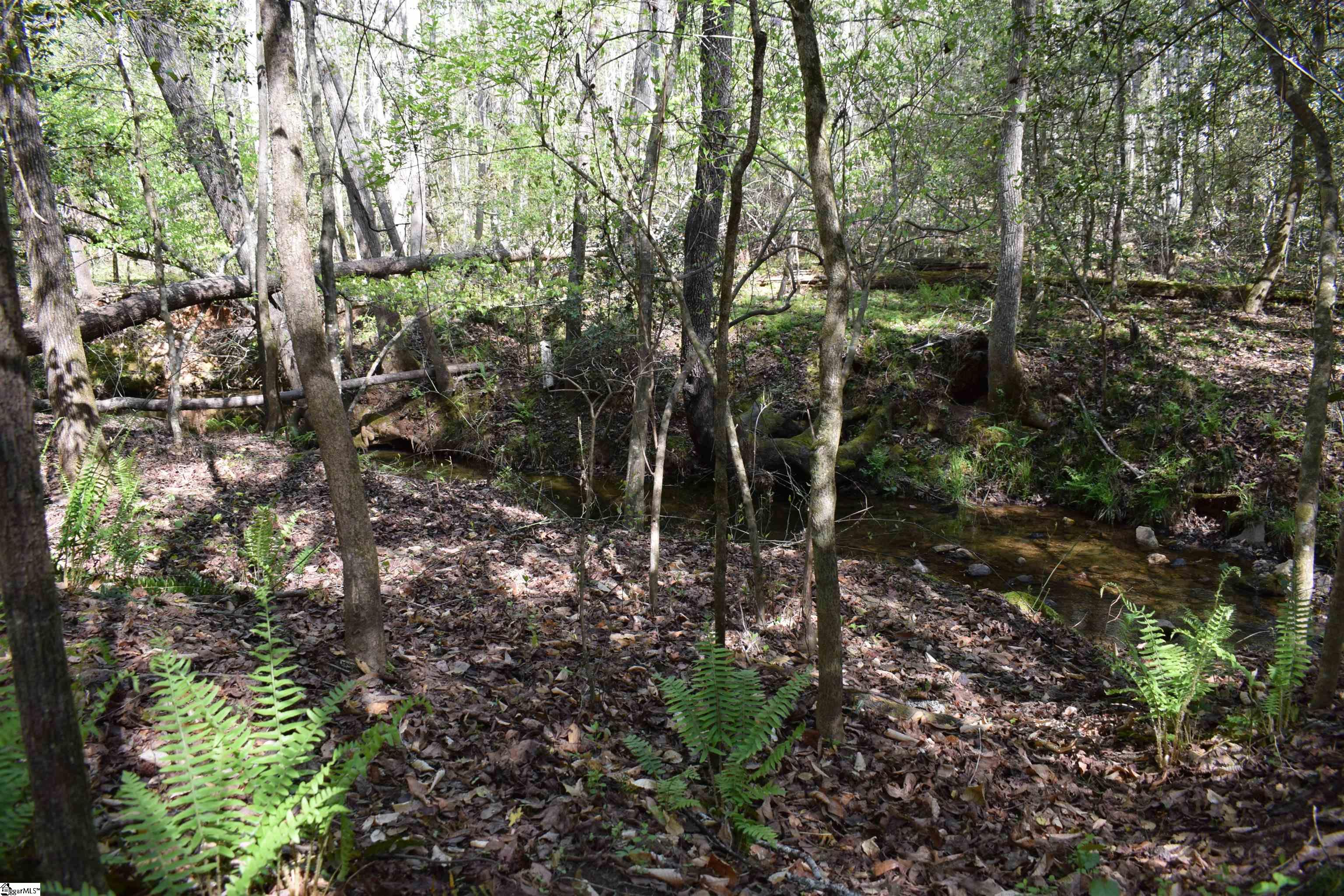 0 Hollis Road Ellenboro, NC 28040 - Photo 18 of 29