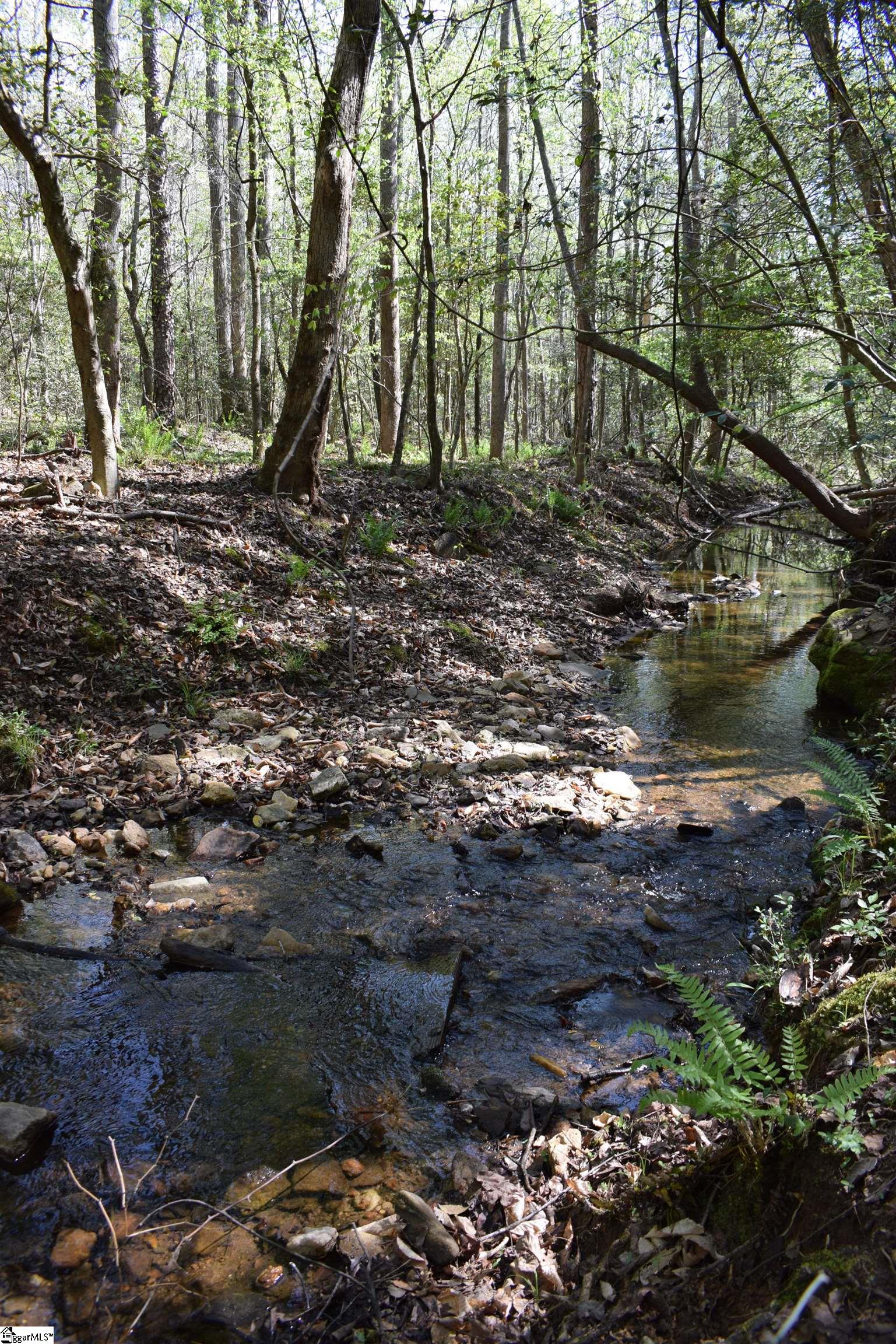 0 Hollis Road Ellenboro, NC 28040 - Photo 19 of 29