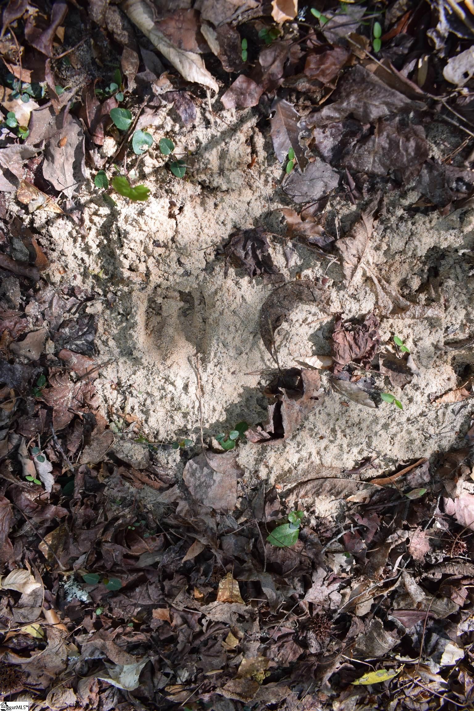 0 Hollis Road Ellenboro, NC 28040 - Photo 20 of 29