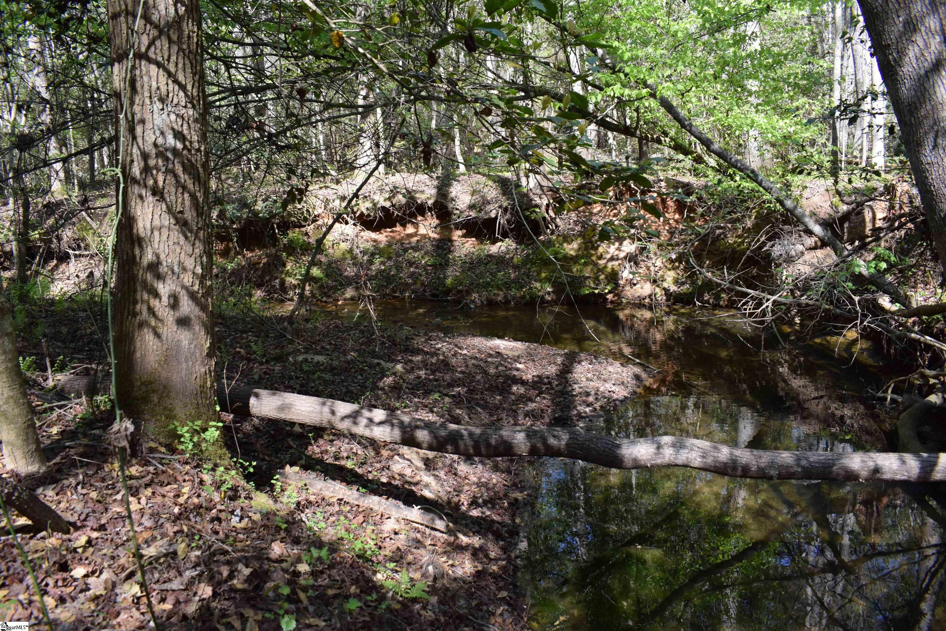 0 Hollis Road Ellenboro, NC 28040 - Photo 21 of 29