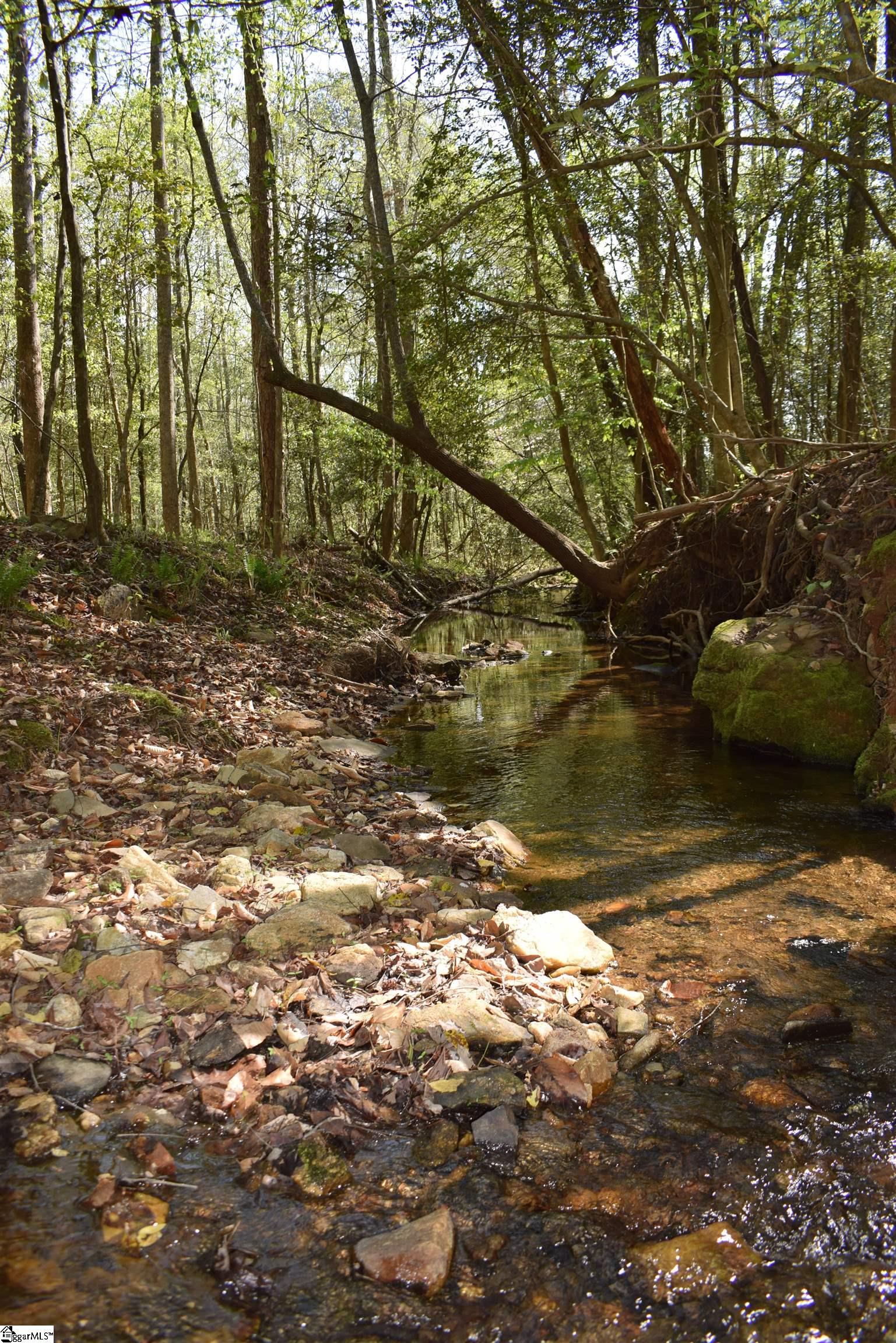 0 Hollis Road Ellenboro, NC 28040 - Photo 22 of 29