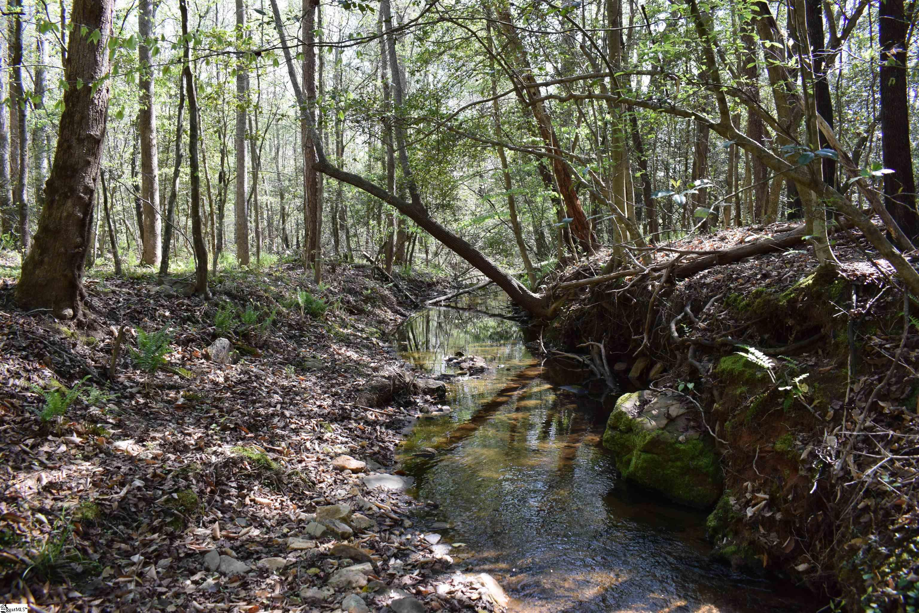 0 Hollis Road Ellenboro, NC 28040 - Photo 23 of 29