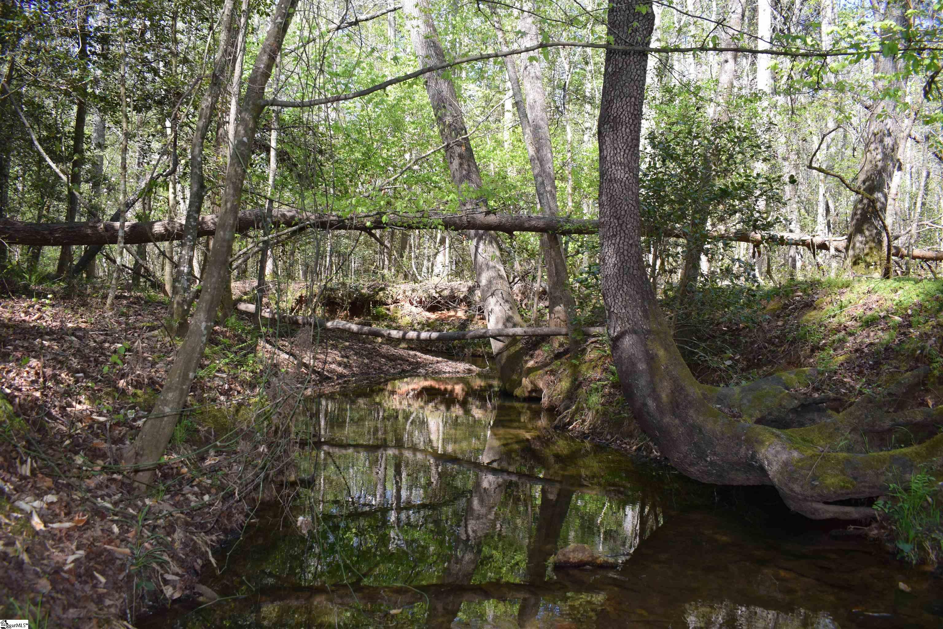 0 Hollis Road Ellenboro, NC 28040 - Photo 24 of 29