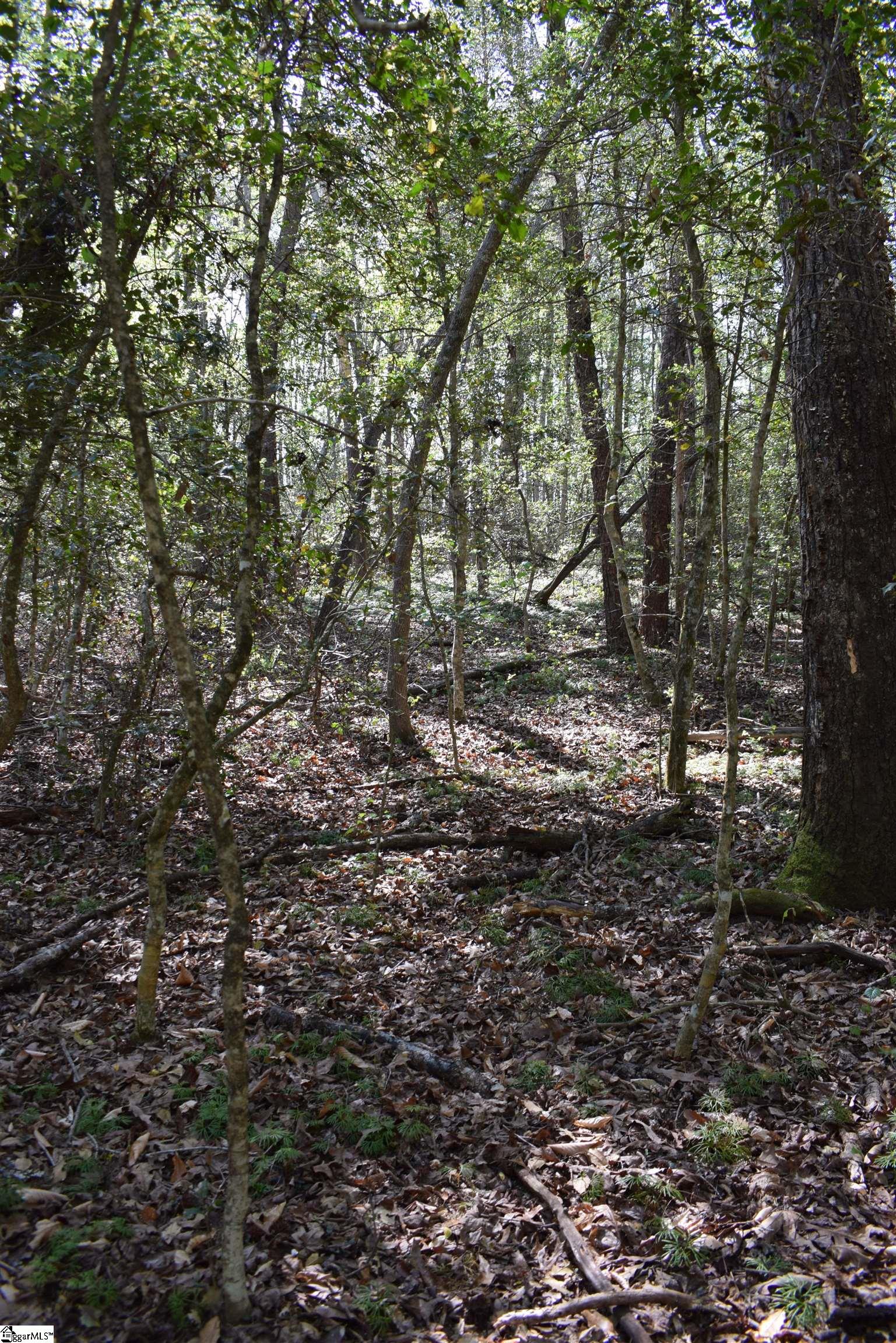 0 Hollis Road Ellenboro, NC 28040 - Photo 25 of 29