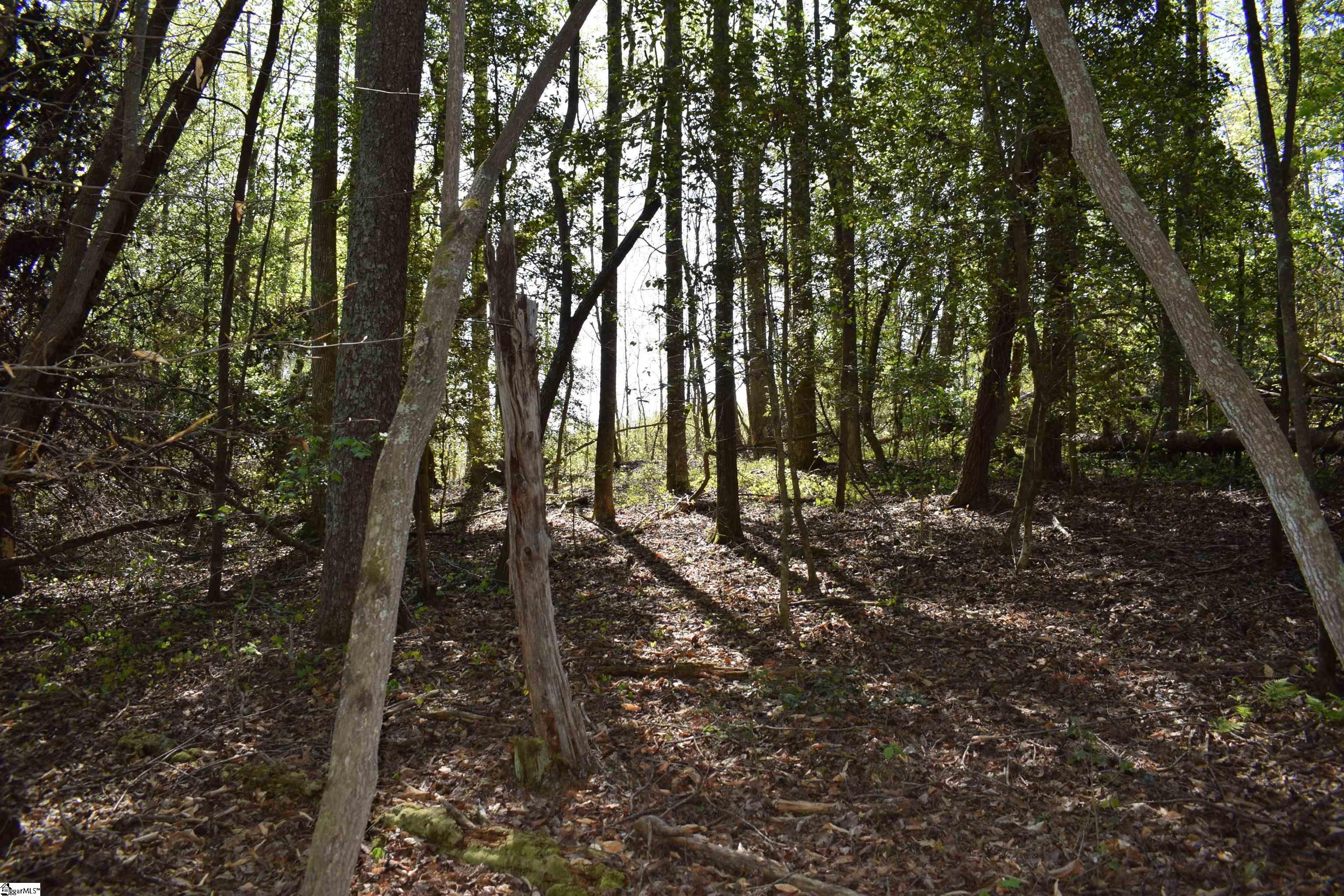 0 Hollis Road Ellenboro, NC 28040 - Photo 26 of 29