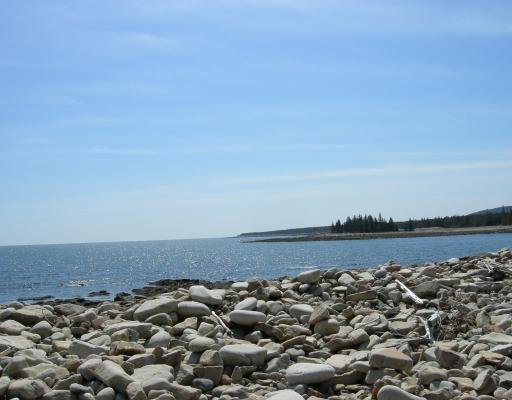 201 Prospect Point Road Gouldsboro, ME 04669 - Photo 6 of 8 View.