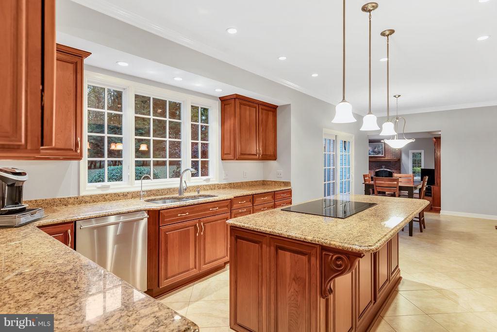 5501 West Ridge View Drive Fairfax, VA 22030 - Photo 10 of 30 Gourmet Kitchen
