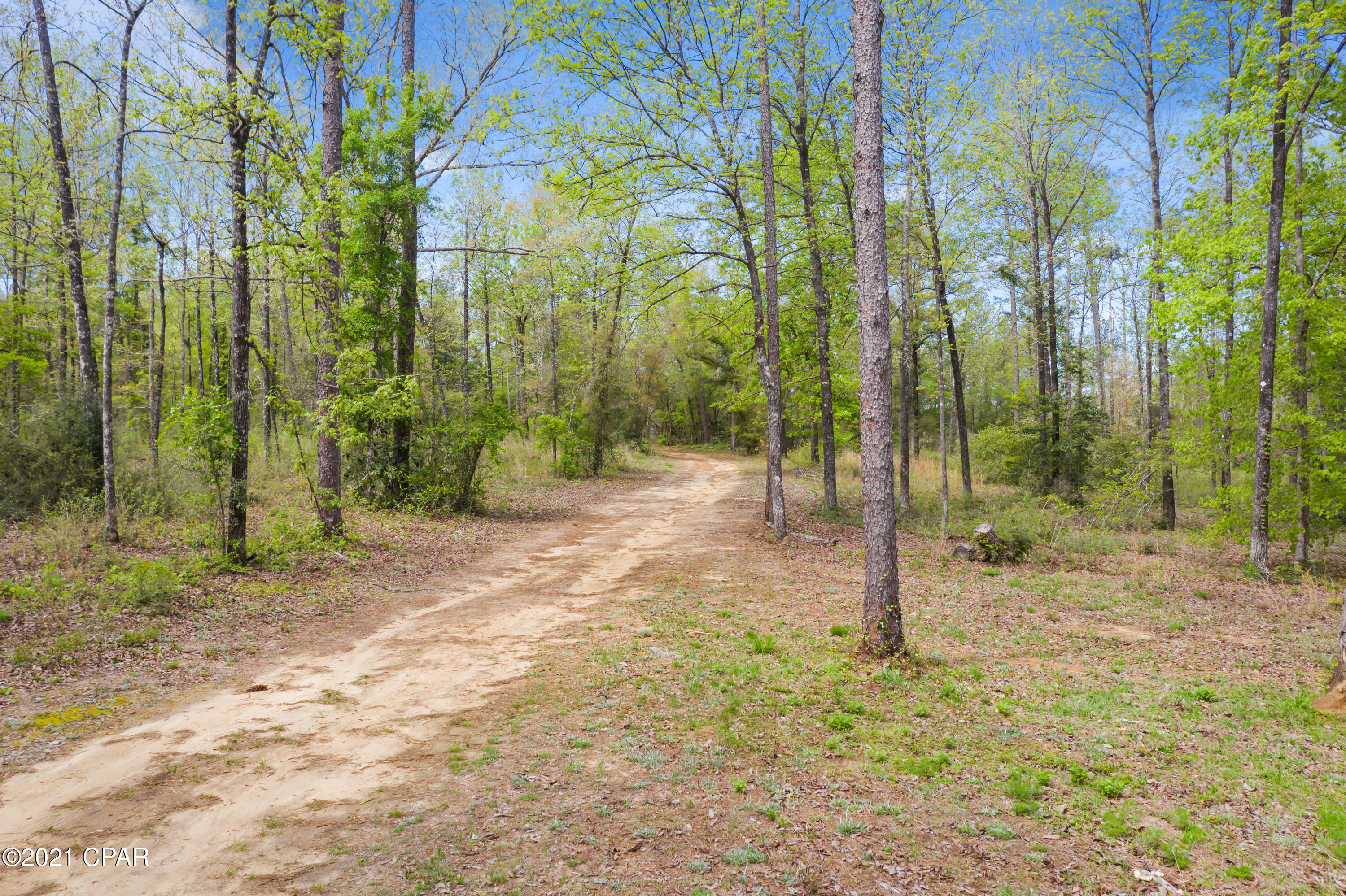 0 Owens Pond Road Chipley, FL 32428 - Photo 34 of 35