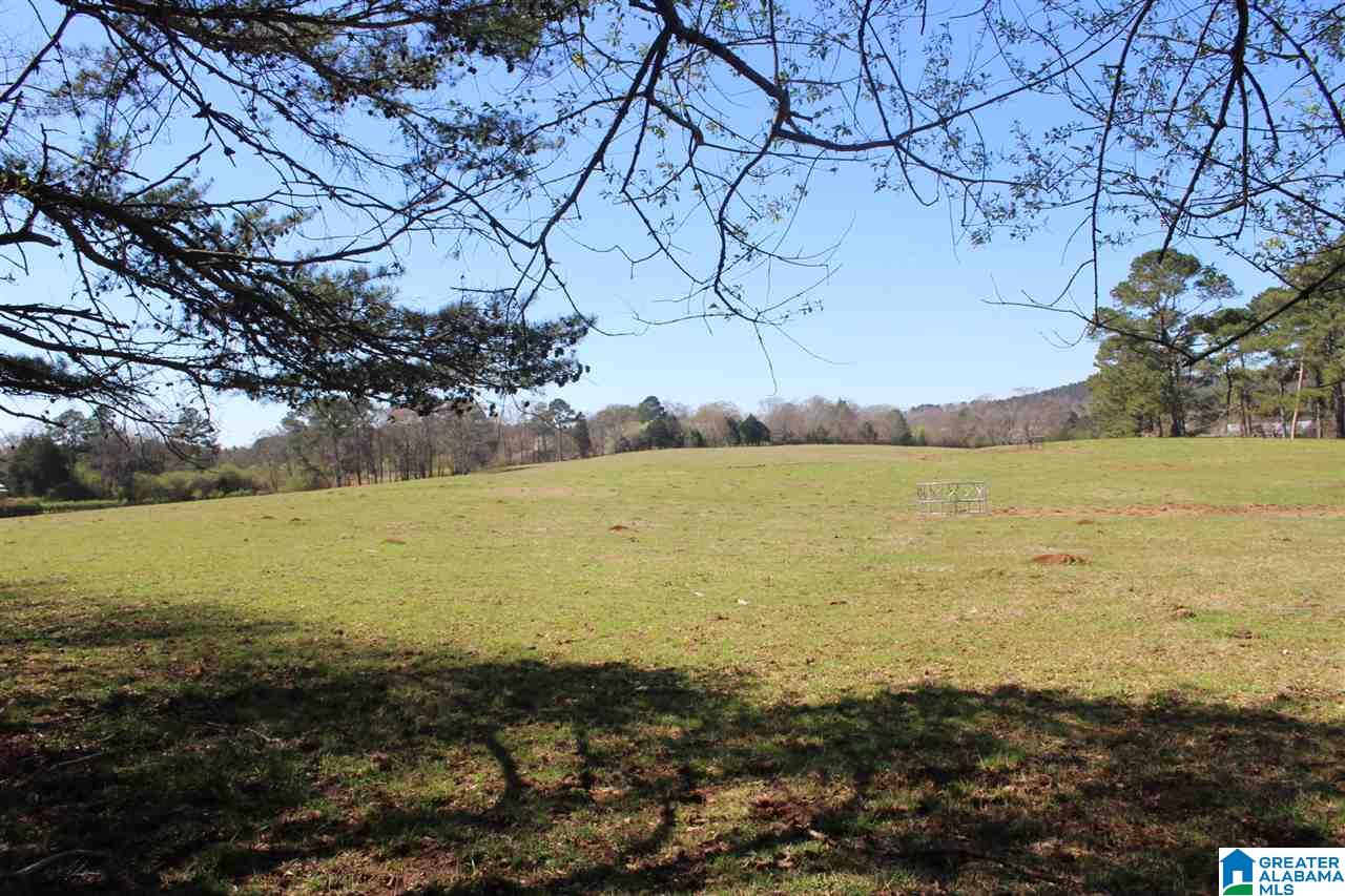 0 Lewis Road Columbiana, AL 35051 - Photo 1 of 10
