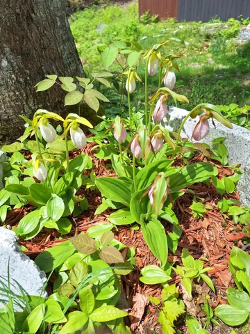 $400,000 | 71 Mountain View Drive, Hartford, ME 04220