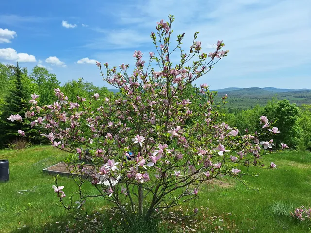 $400,000 | 71 Mountain View Drive, Hartford, ME 04220