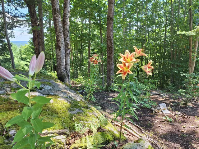 $400,000 | 71 Mountain View Drive, Hartford, ME 04220