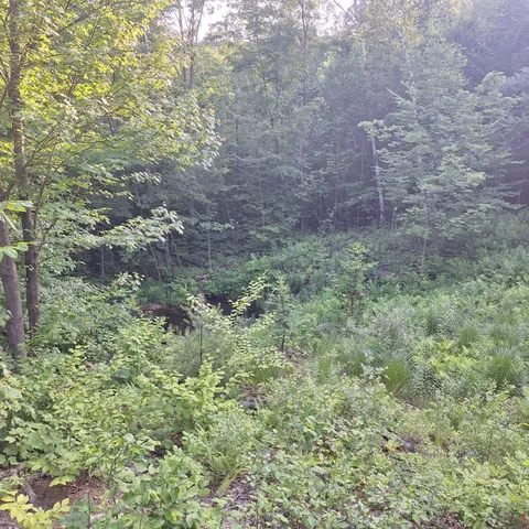 $400,000 | 71 Mountain View Drive, Hartford, ME 04220