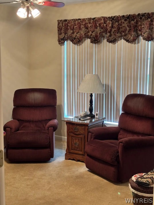 9 Astor Ridge Drive, Unit B Amherst, NY 14228 - Photo 6 of 27