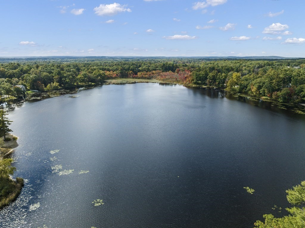 a view of a lake with a city