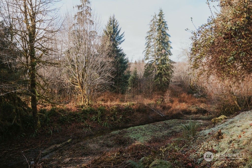 3142 Undie Rd Forks Forks, WA 98331 - Photo 34 of 40 a view of a yard