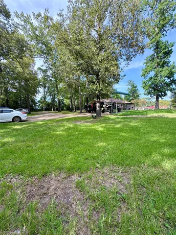 a view of a park with large trees