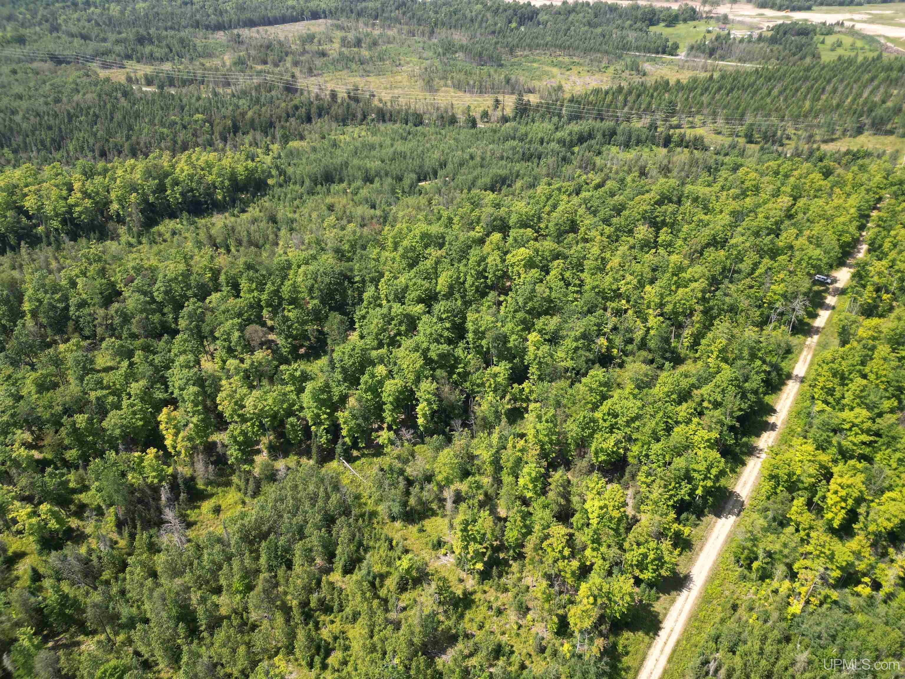 Tbd Cr 557 Road Perronville, MI 49873 - Photo 23 of 27