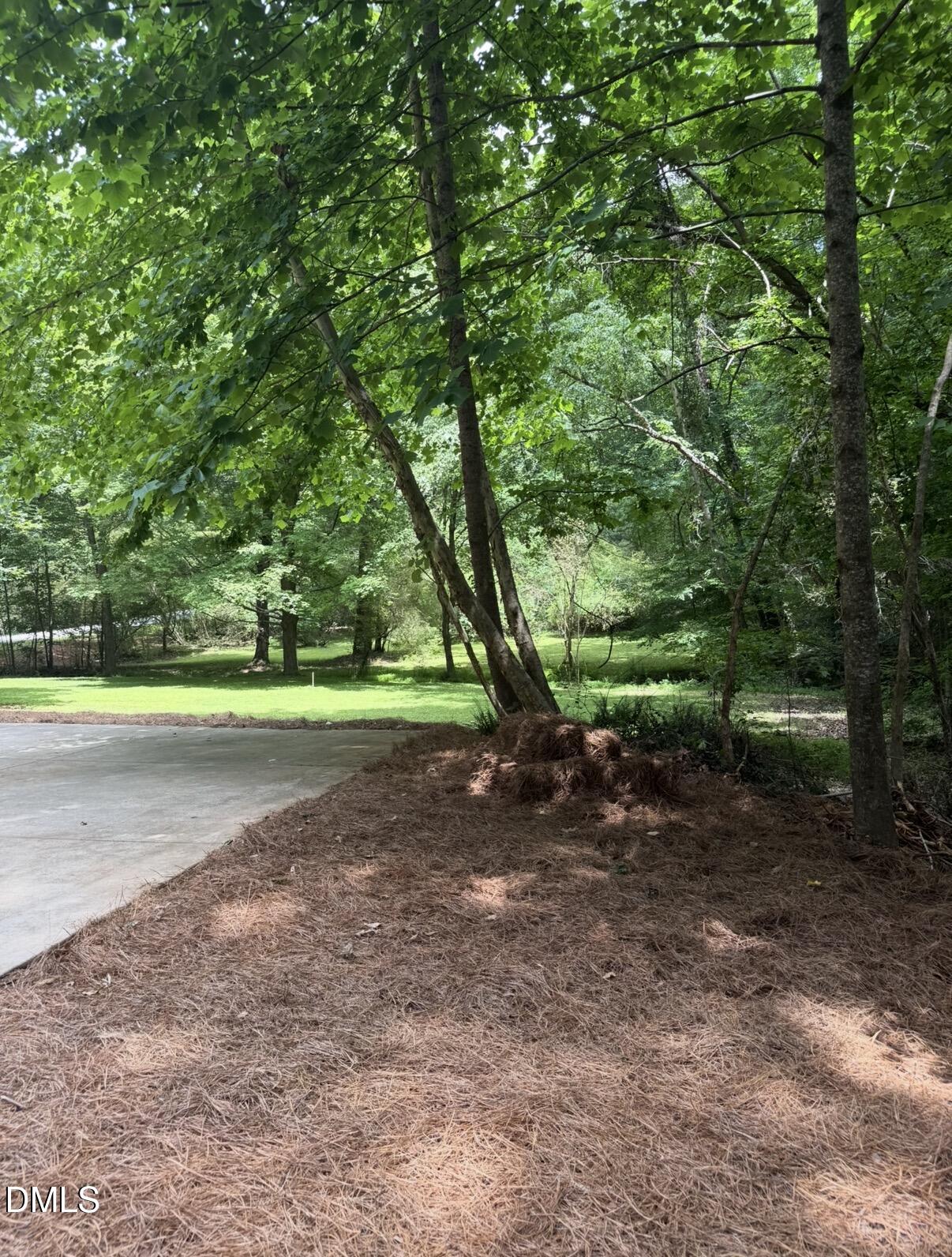 3109 Manor Ridge Drive Raleigh, NC 27603 - Photo 30 of 38 side yard 3