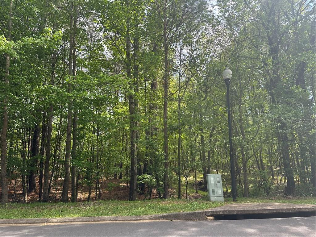 106 Nelson Boulevard Northwest Rome, GA 30165 - Photo 3 of 14 a view of a yard