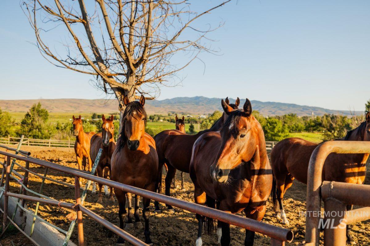 2143 Bonner Road Midvale, ID 83645 - Photo 40 of 50