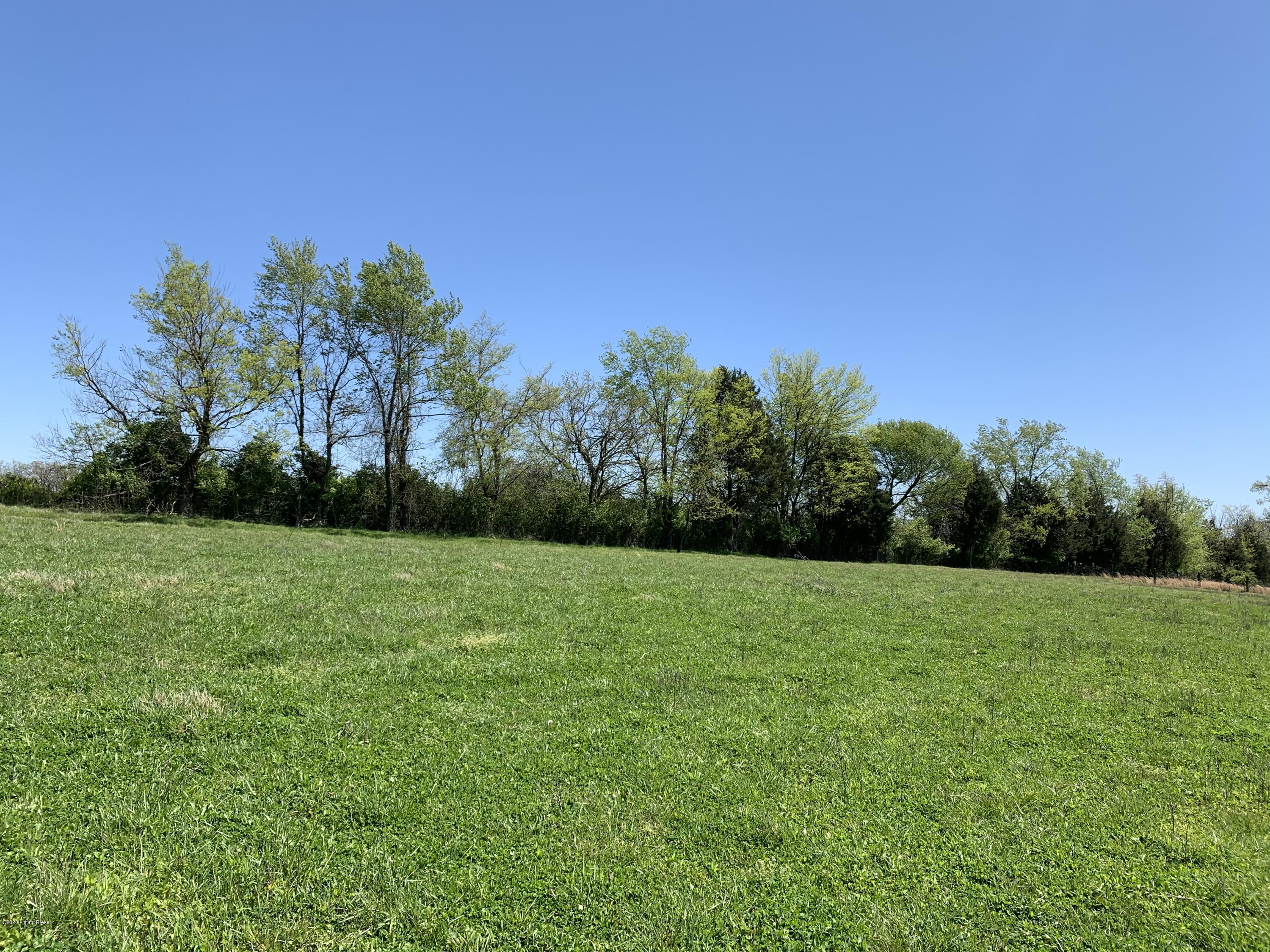 Lot #2 Irish Ridge Road Bardstown, KY 40004 - Photo 39 of 47 MIDDLE FIELD