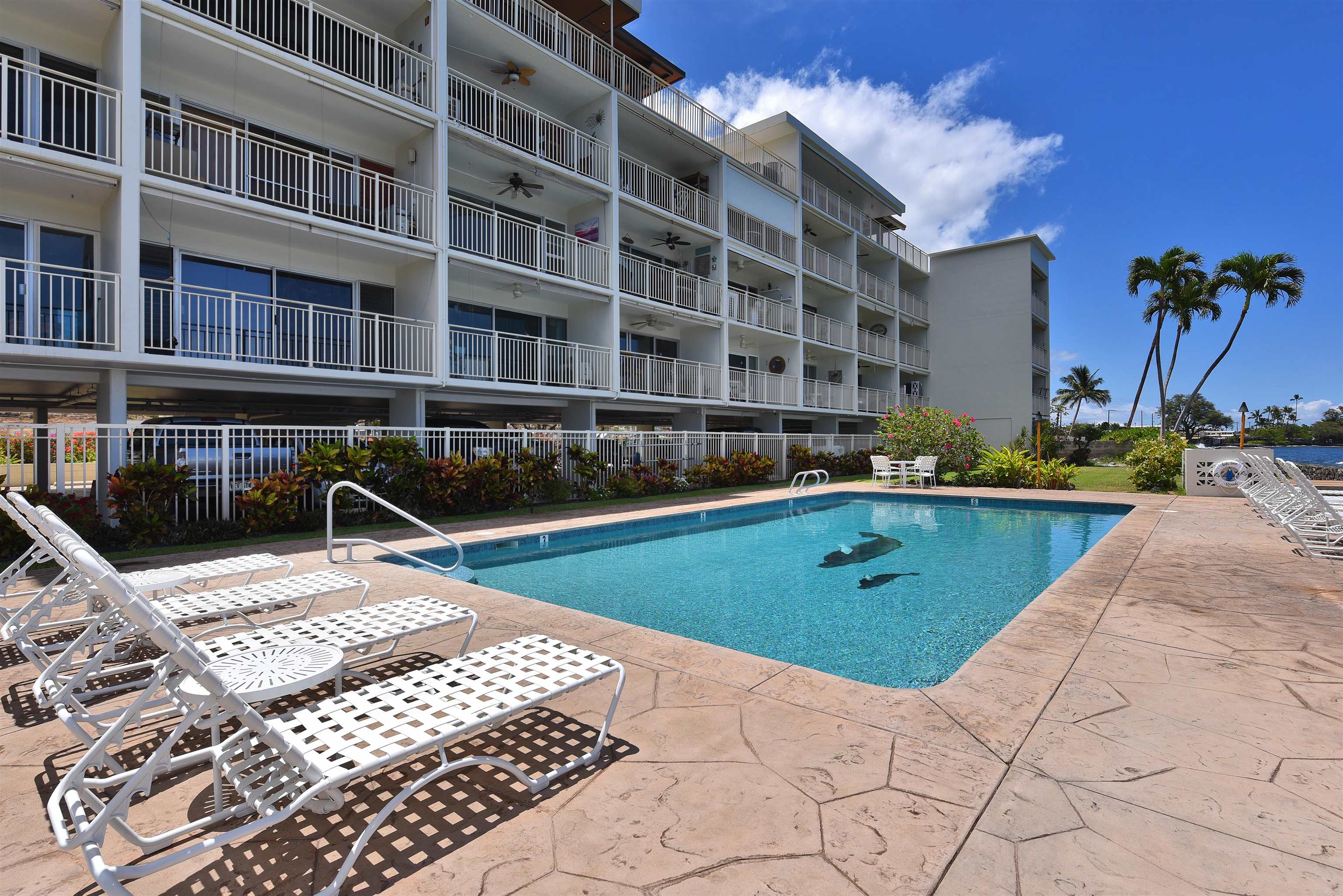 1403 Front Street, Unit 308 Lahaina, HI 96761 - Photo 34 of 35 a view of a swimming pool with a lounge chairs