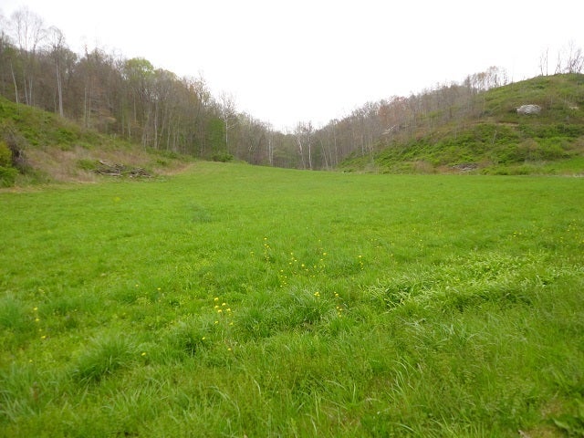 0 Co Road Pedro, OH 45659 - Photo 1 of 14 Gallery Image 1