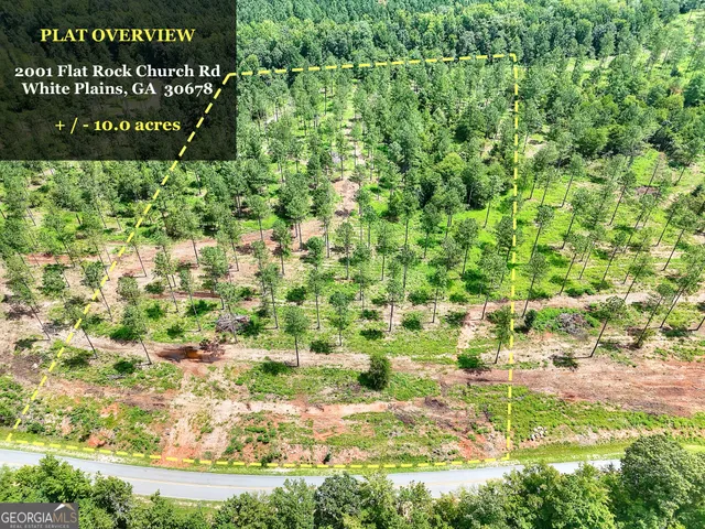 a view of a garden with a bench