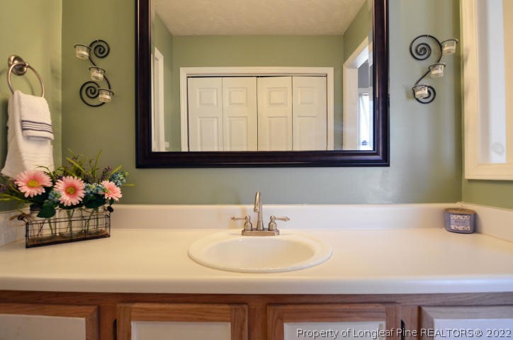 526 Riverwind Drive Spring Lake, NC 28390 - Photo 19 of 29 a bathroom with a sink and a mirror