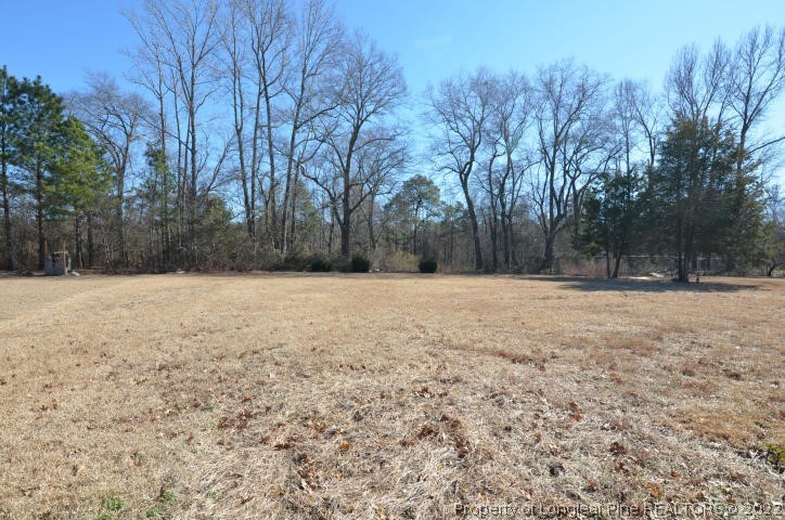 526 Riverwind Drive Spring Lake, NC 28390 - Photo 28 of 29