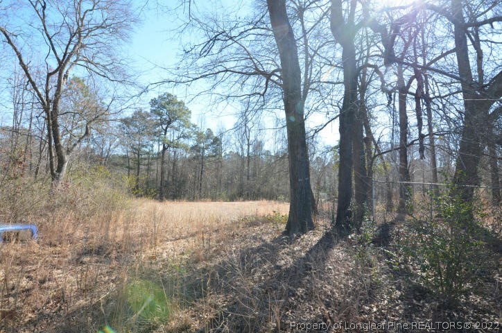 526 Riverwind Drive Spring Lake, NC 28390 - Photo 29 of 29 a backyard of a house with lots of green space