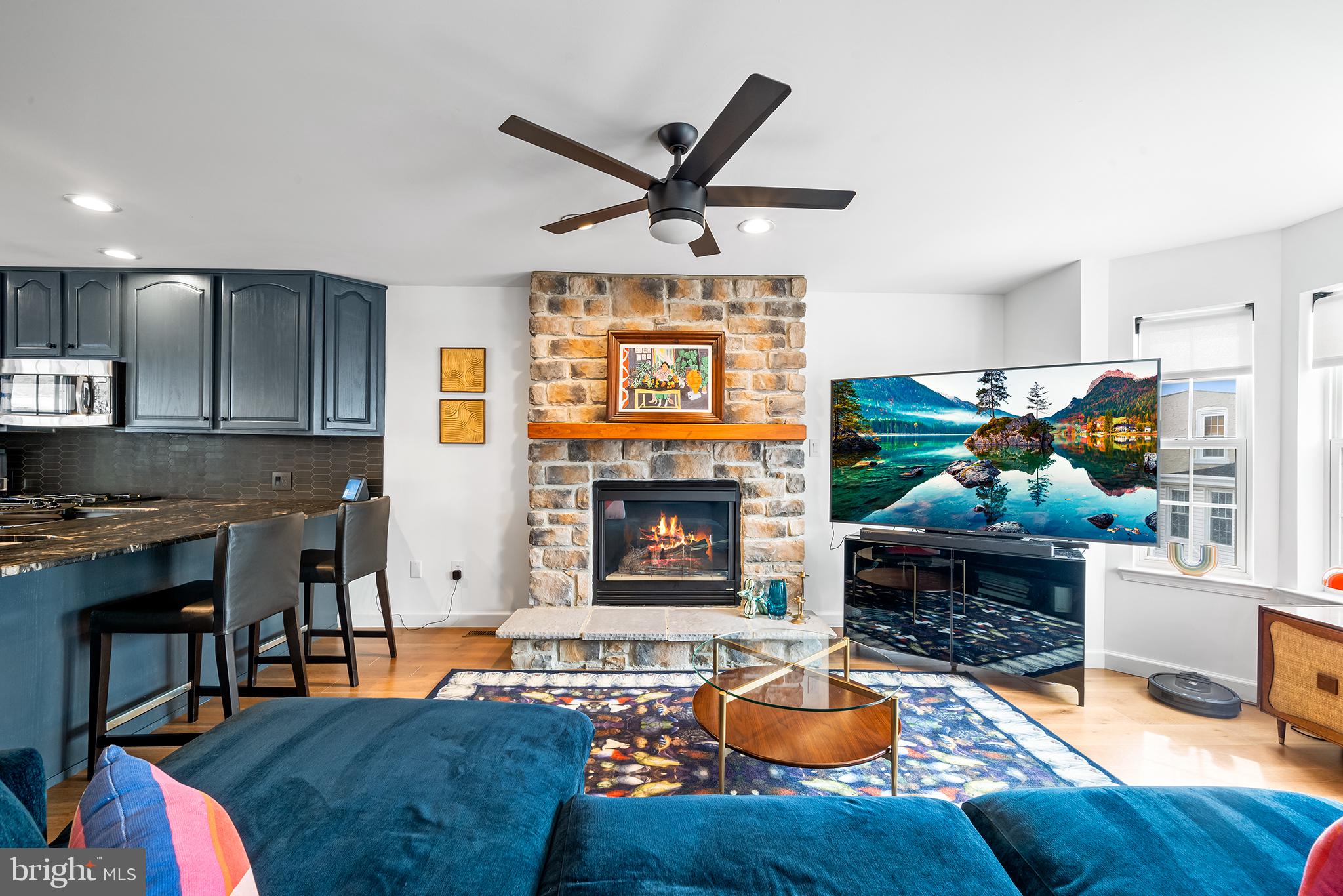 243 Ripka Street Philadelphia, PA 19127 - Photo 8 of 31 a living room with furniture a fireplace and a flat screen tv