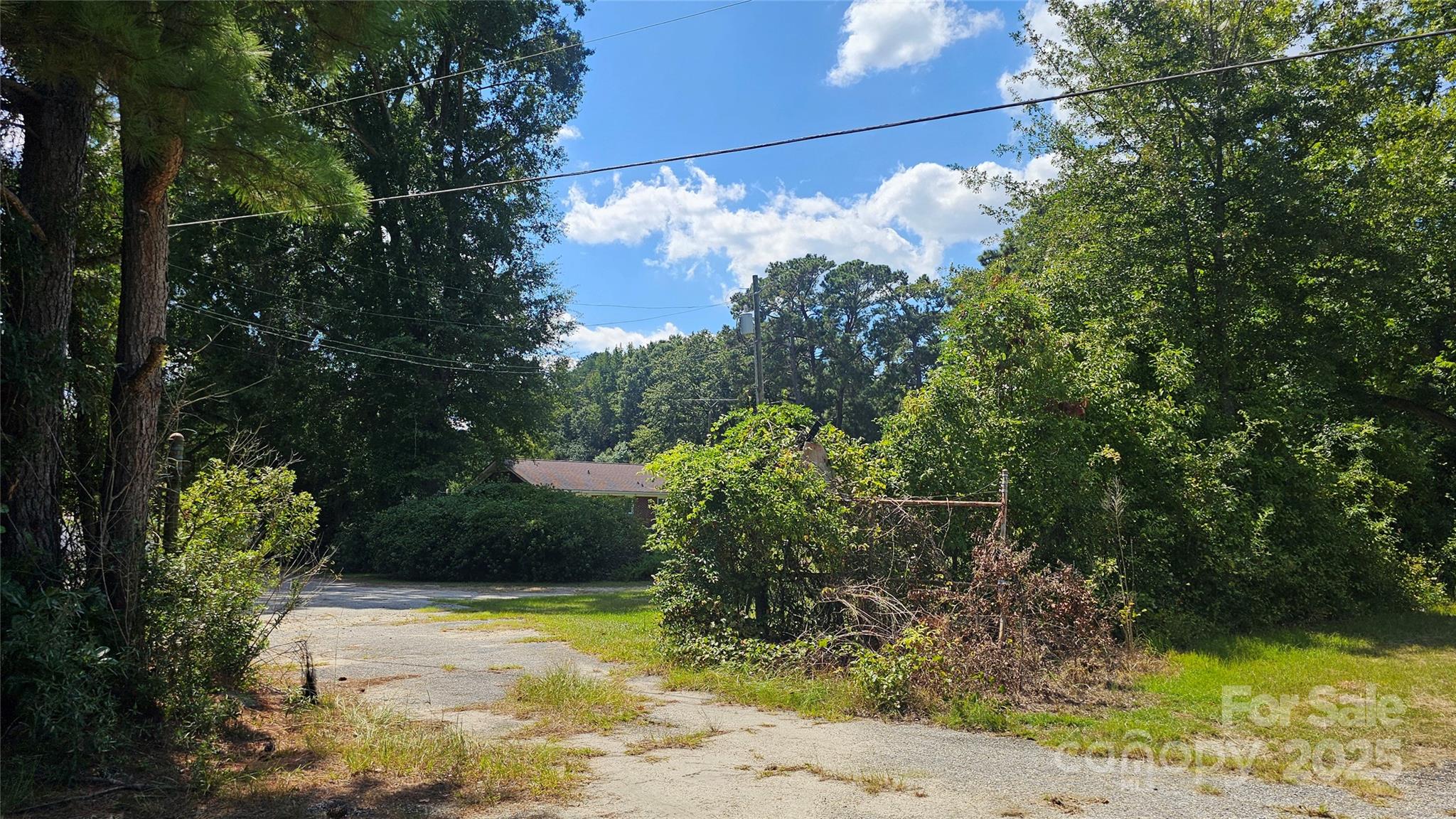 0 Windmill Avenue Dillon, SC 29536 - Photo 11 of 31 a view of a yard with plants and large trees