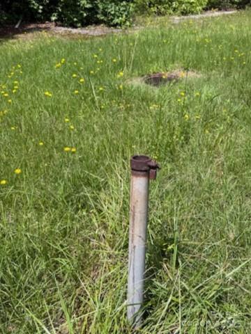 0 Windmill Avenue Dillon, SC 29536 - Photo 13 of 31 a close up of a plant in a garden