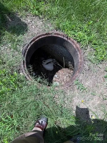 a close up of a sink in a yard