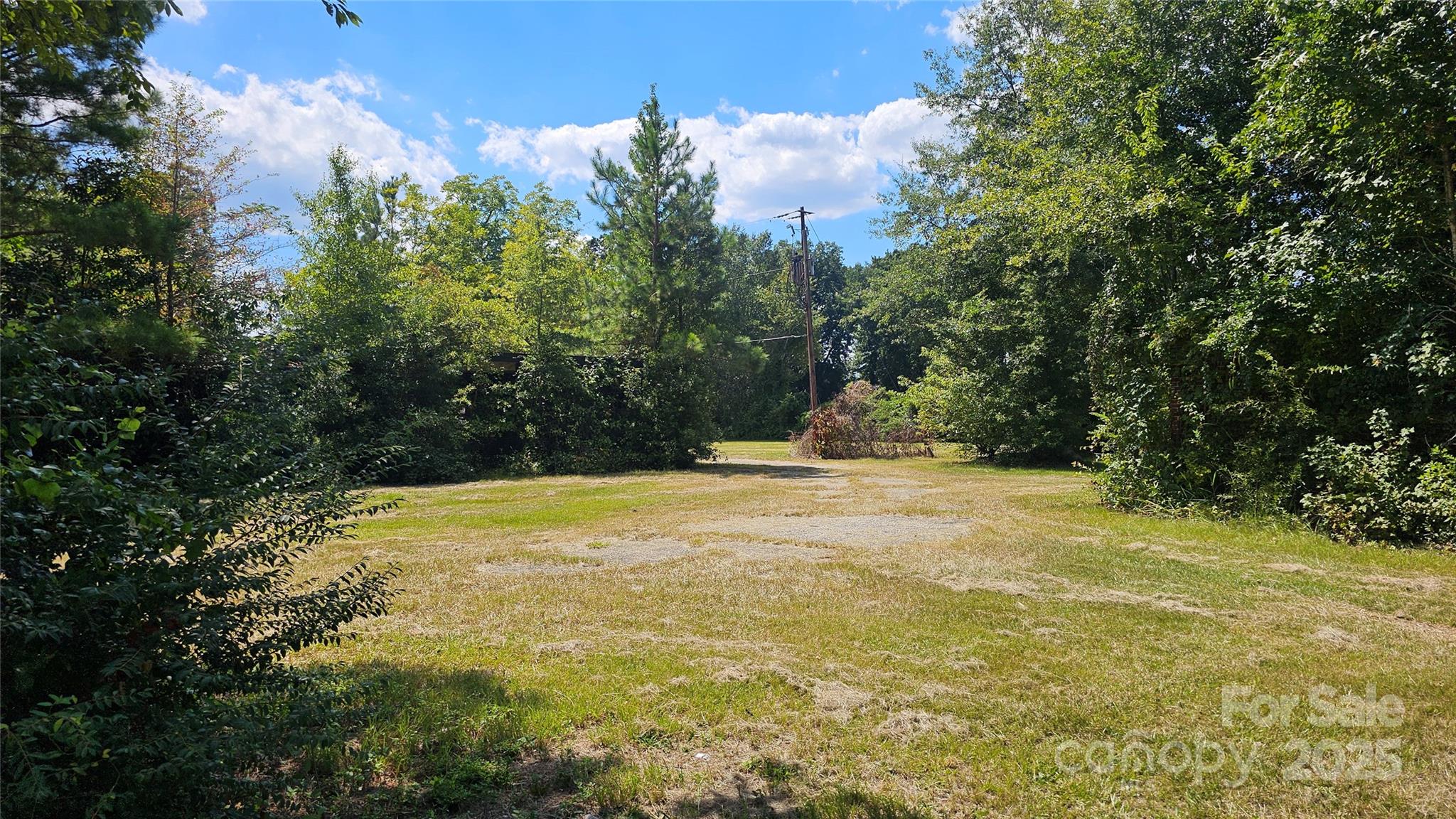0 Windmill Avenue Dillon, SC 29536 - Photo 3 of 31 a view of a yard with trees