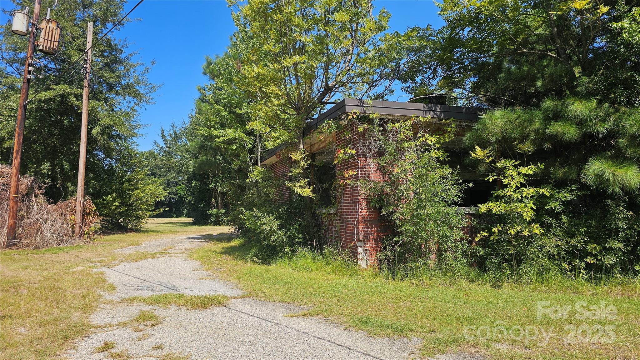 0 Windmill Avenue Dillon, SC 29536 - Photo 6 of 31 a view of a yard with plants