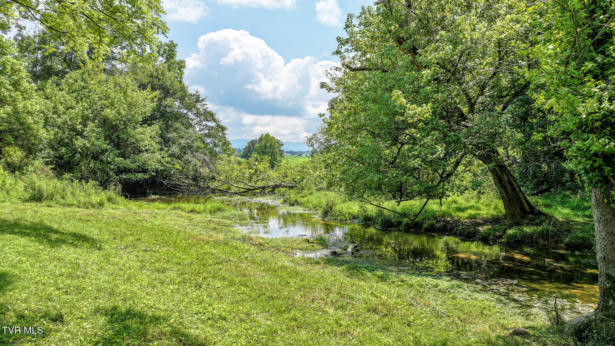 2130 Old Jonesboro Road Chuckey, TN 37641 - Photo 95 of 102 93
