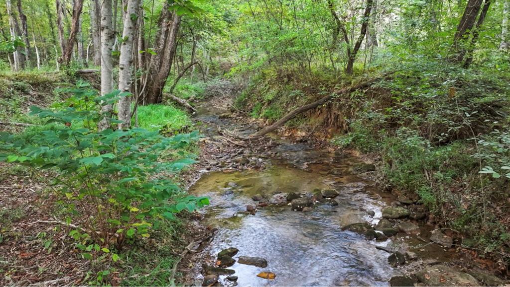241 East Shalom Court Blue Ridge, GA 30513 - Photo 20 of 45