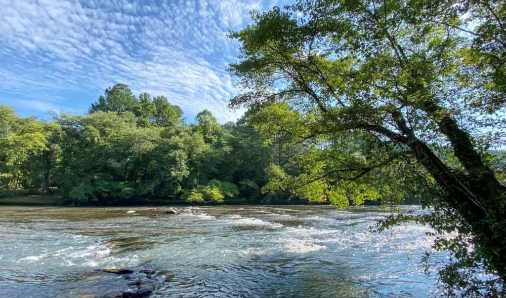 241 East Shalom Court Blue Ridge, GA 30513 - Photo 3 of 45