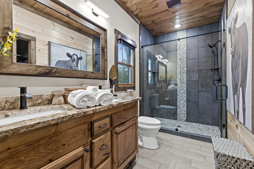 241 East Shalom Court Blue Ridge, GA 30513 - Photo 36 of 45