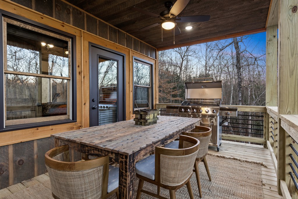 241 East Shalom Court Blue Ridge, GA 30513 - Photo 40 of 45