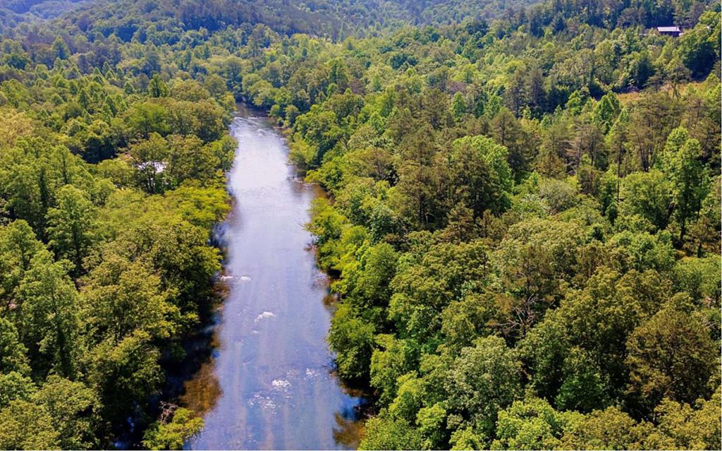 241 East Shalom Court Blue Ridge, GA 30513 - Photo 45 of 45